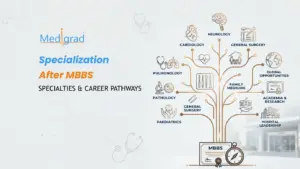 Specialization After MBBS: Medical Specialties & Career Pathways in India